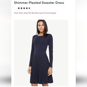 Shimmer Pleated Sweater Dress
